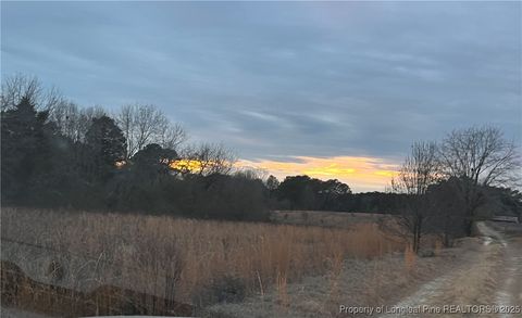 Tiny photo for TBD Hwy 87/ Broadway Rd. Road, Sanford, NC 27330 (MLS # 737068)