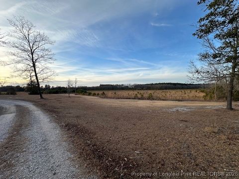 Tiny photo for 567 Nc-131 Highway, Bladenboro, NC 28320 (MLS # 756288)