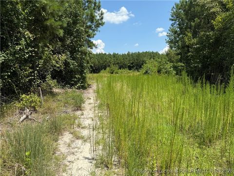 Tiny photo for 0 Tabor Church Road, Fayetteville, NC 28312 (MLS # 755229)