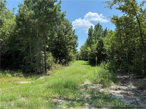 Tiny photo for 0 Tabor Church Road, Fayetteville, NC 28312 (MLS # 755229)