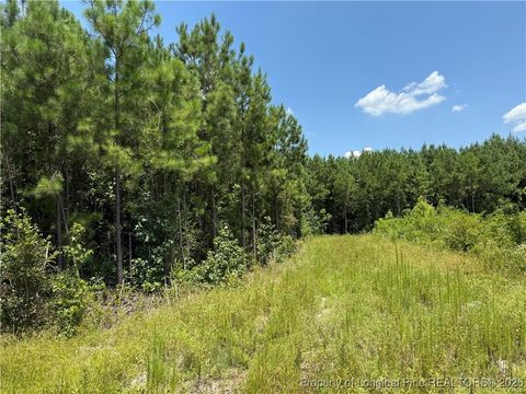 Tiny photo for 0 Tabor Church Road, Fayetteville, NC 28312 (MLS # 755229)