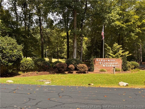 Tiny photo for 668 CHELSEA Drive, Sanford, NC 27332 (MLS # 767965)