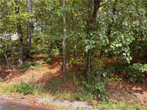 Photo of 668 CHELSEA Drive, Sanford, NC 27332 (MLS # 767965)