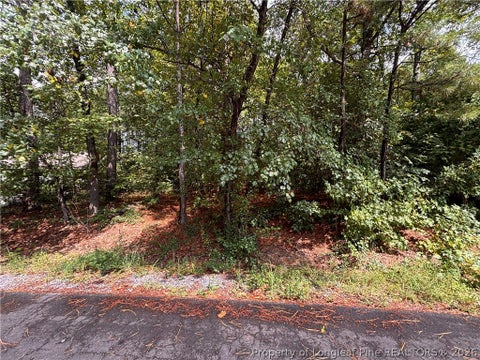 Tiny photo for 668 CHELSEA Drive, Sanford, NC 27332 (MLS # 767965)