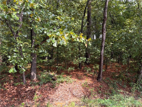 Tiny photo for 668 CHELSEA Drive, Sanford, NC 27332 (MLS # 767965)
