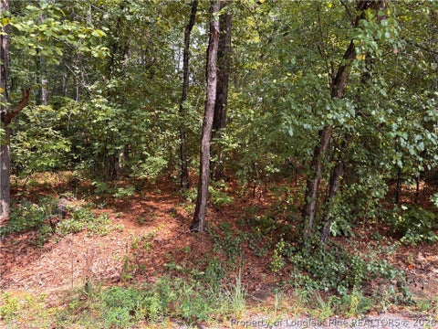 Tiny photo for 668 CHELSEA Drive, Sanford, NC 27332 (MLS # 767965)
