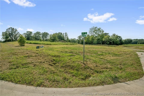 Tiny photo for 00 Laia Hills (Lot 1) Road, Siler City, NC 27344 (MLS # 767607)