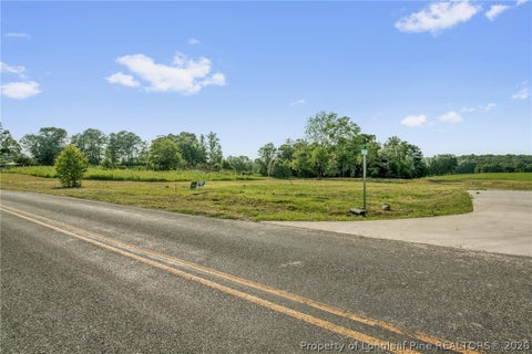 Tiny photo for 00 Laia Hills (Lot 1) Road, Siler City, NC 27344 (MLS # 767607)