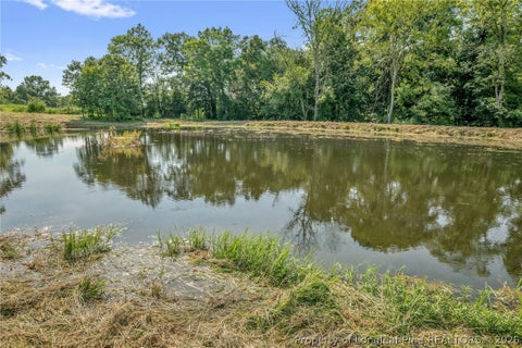 Tiny photo for 00 Laia Hills (Lot 1) Road, Siler City, NC 27344 (MLS # 767607)