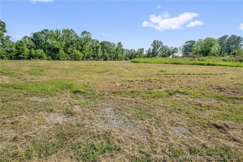 Tiny photo for 00 Laia Hills (Lot 1) Road, Siler City, NC 27344 (MLS # 767607)