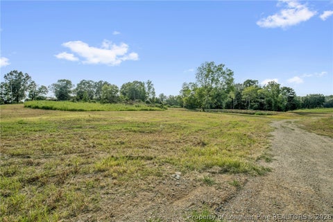 Tiny photo for 00 Laia Hills (Lot 1) Road, Siler City, NC 27344 (MLS # 767607)
