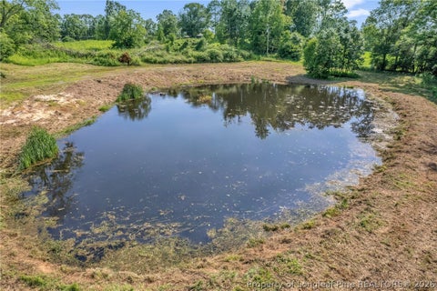 Tiny photo for 00 Laia Hills (Lot 1) Road, Siler City, NC 27344 (MLS # 767607)