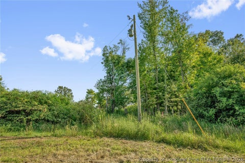 Tiny photo for 00 Laia Hills (Lot 1) Road, Siler City, NC 27344 (MLS # 767607)