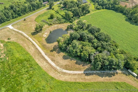 Tiny photo for 00 Laia Hills (Lot 1) Road, Siler City, NC 27344 (MLS # 767607)