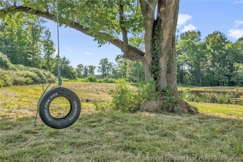 Tiny photo for 00 Laia Hills (Lot 1) Road, Siler City, NC 27344 (MLS # 767607)