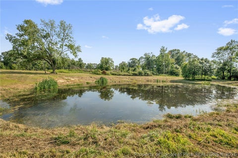 Tiny photo for 00 Laia Hills (Lot 1) Road, Siler City, NC 27344 (MLS # 767607)