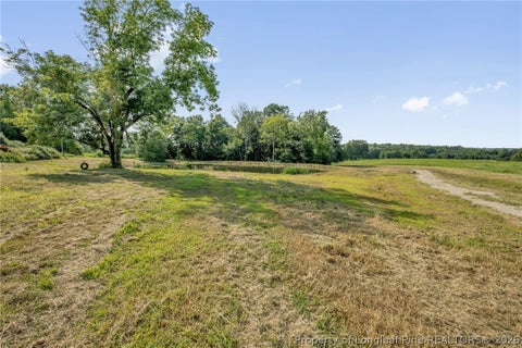 Tiny photo for 00 Laia Hills (Lot 1) Road, Siler City, NC 27344 (MLS # 767607)
