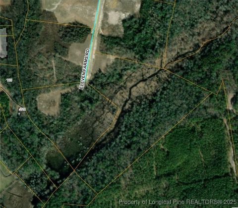 Lot 49 Eleven Farms Rd Salemburg NC 28385