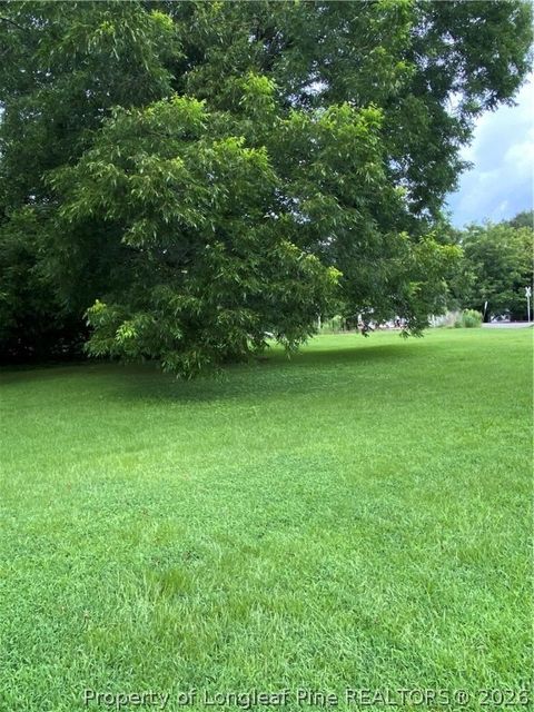 Photo of N BROAD Street, Oxford, NC 27565 (MLS # 757154)