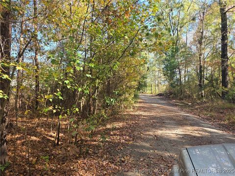 Tiny photo for 409 Burns Road, Lumberton, NC 28358 (MLS # 753276)