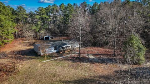 Tiny photo for 3600 Quarter Horse Run Lane, Parkton, NC 28371 (MLS # 757925)