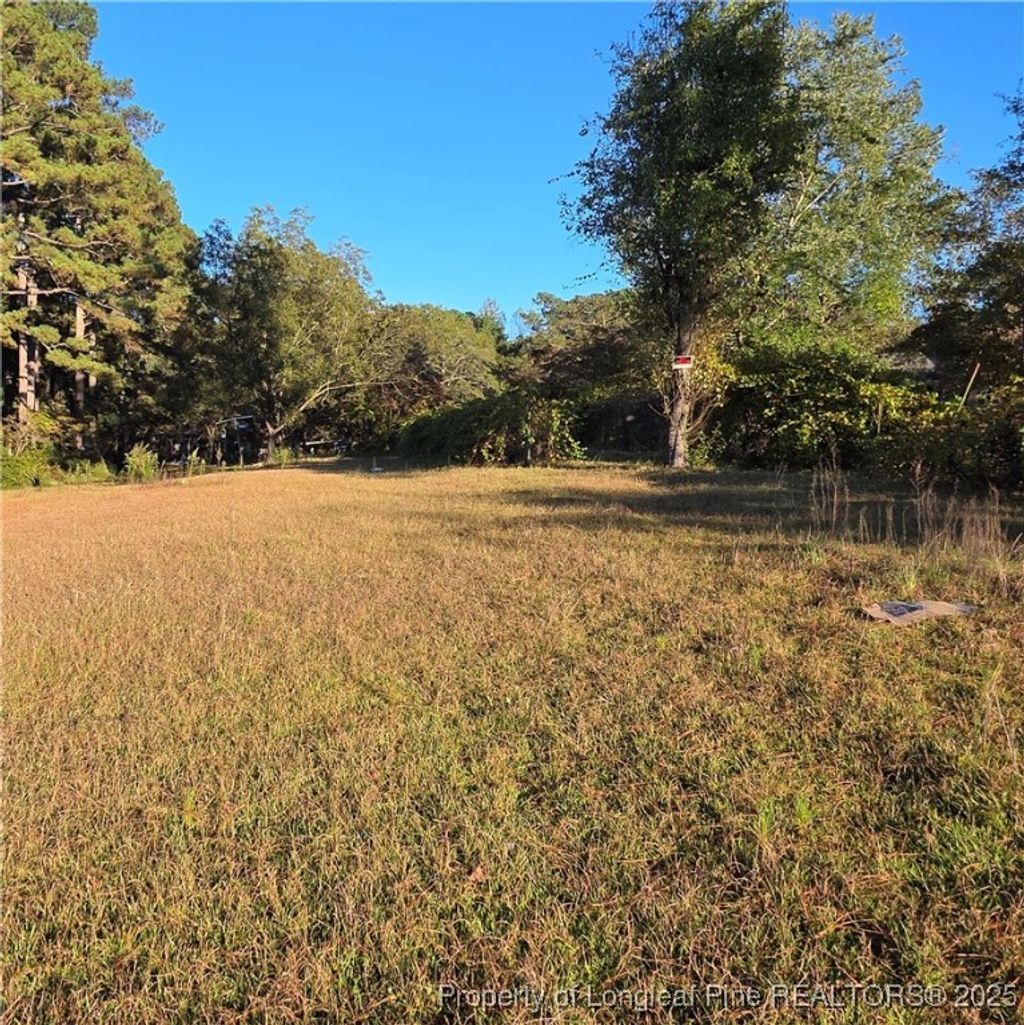 Photo of 11983 Nc 210 Highway S, Spring Lake, NC 28390 (MLS # 751905)