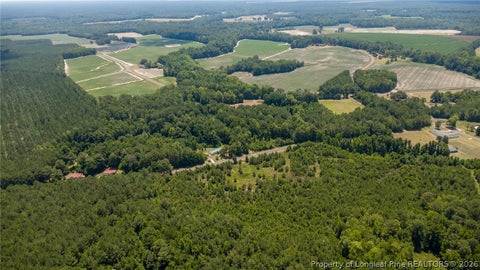Tiny photo for 422 Drye Road, Council, NC 28434 (MLS # 768775)