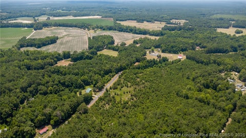 Tiny photo for 422 Drye Road, Council, NC 28434 (MLS # 768775)