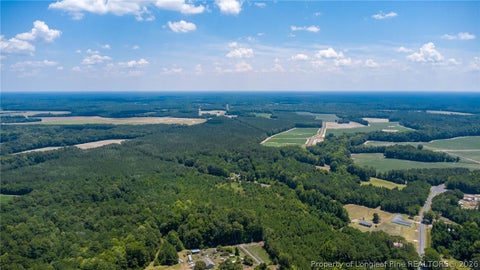 Tiny photo for 422 Drye Road, Council, NC 28434 (MLS # 768775)