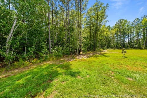 Tiny photo for 123 Sears Drive, Cameron, NC 28326 (MLS # 768095)