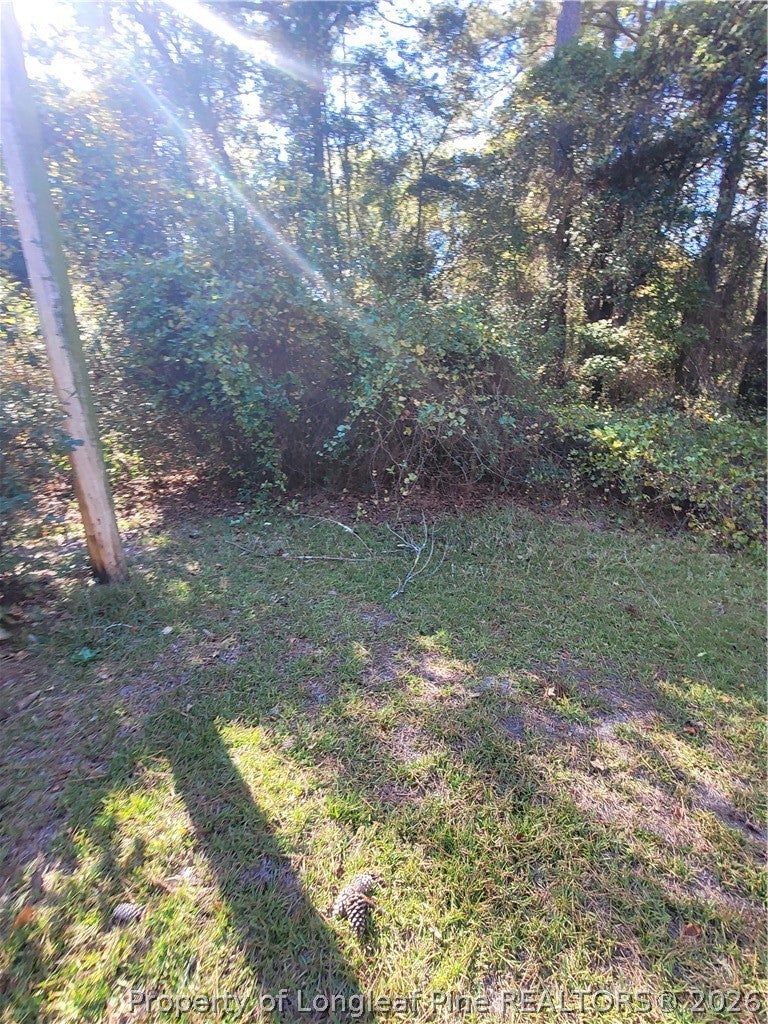 Photo of 65 Kate Lane, Salemburg, NC 28385 (MLS # 771717)