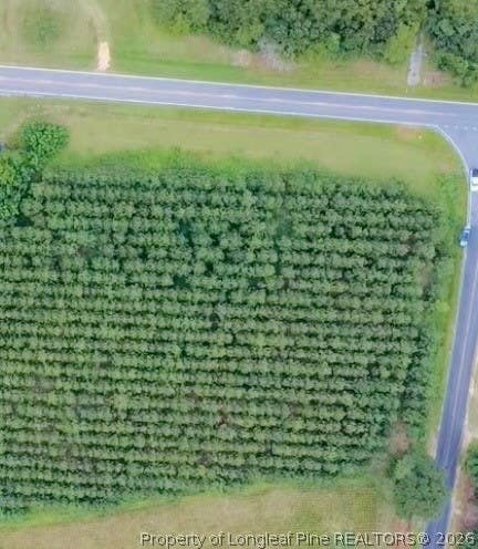 Tiny photo for NC HWY. 904 Highway W, Fairmont, NC 28340 (MLS # 767323)
