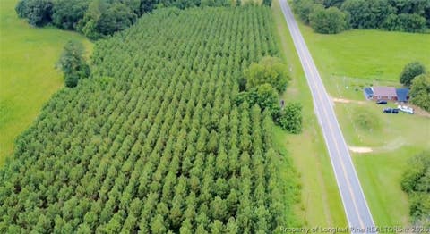 Tiny photo for NC HWY. 904 Highway W, Fairmont, NC 28340 (MLS # 767323)