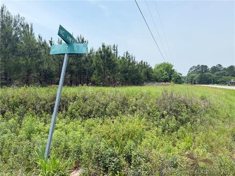 Tiny photo for NC HWY. 904 Highway W, Fairmont, NC 28340 (MLS # 767323)