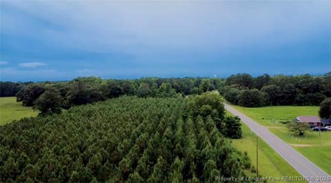 Tiny photo for NC HWY. 904 Highway W, Fairmont, NC 28340 (MLS # 767323)