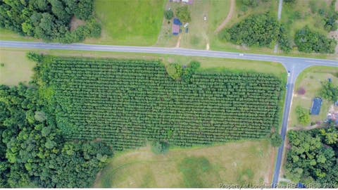 Tiny photo for NC HWY. 904 Highway W, Fairmont, NC 28340 (MLS # 767323)