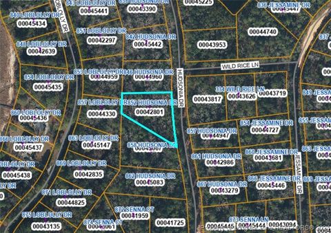 Tiny photo for 852 Hudsonia Drive, Vass, NC 28394 (MLS # 719534)