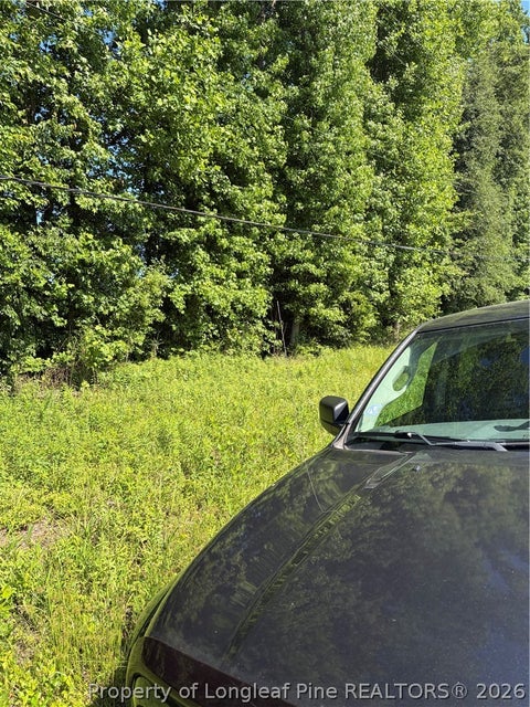 Tiny photo for Lemon Springs Road, Sanford, NC 27332 (MLS # 762537)