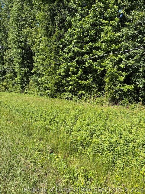 Photo of Lemon Springs Road, Sanford, NC 27332 (MLS # 762537)