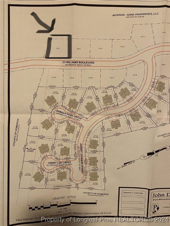 Cy Williams Boulevard