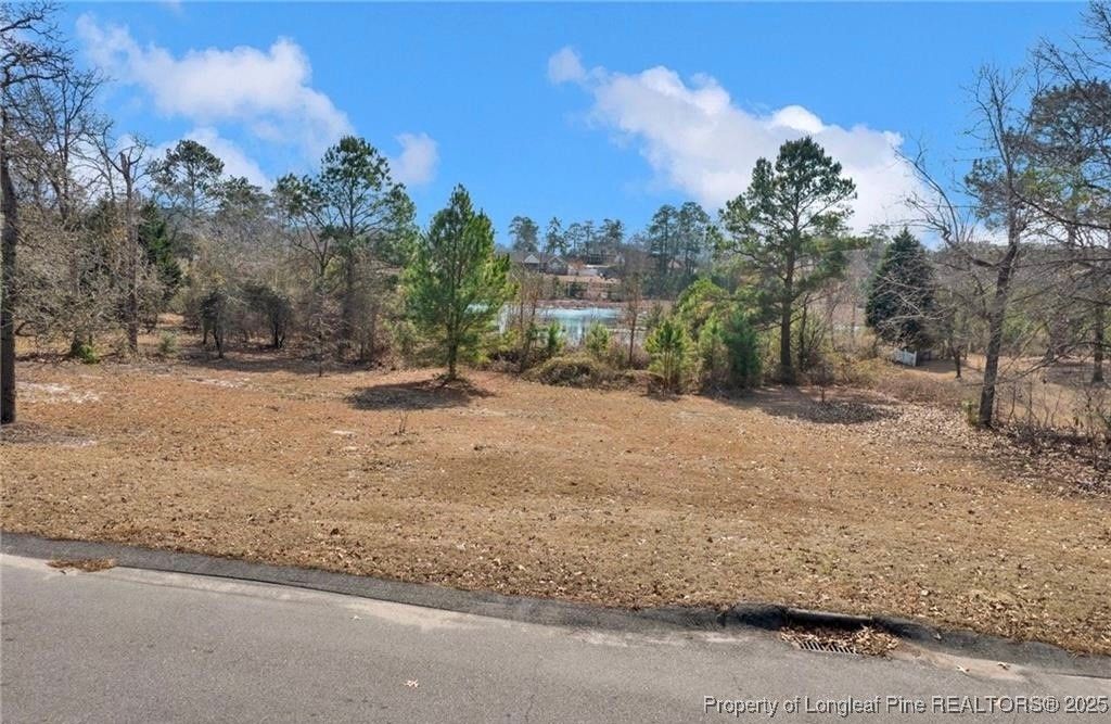 Photo of 8509 Independence Drive, Hope Mills, NC 28348 (MLS # 751672)