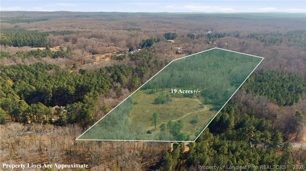 1600 MOUNT WILLING RD, EFLAND, NC 27243 - Image b18ef32719f4df8437b563b1f43a0346/4058909732