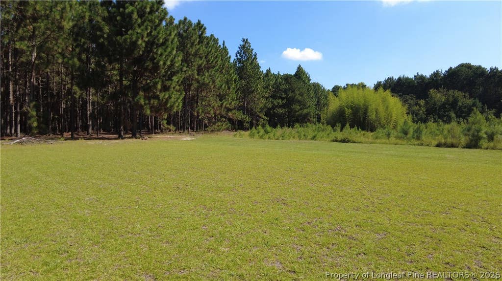 Photo of 101 McNair Road, Shannon, NC 28386 (MLS # 768011)