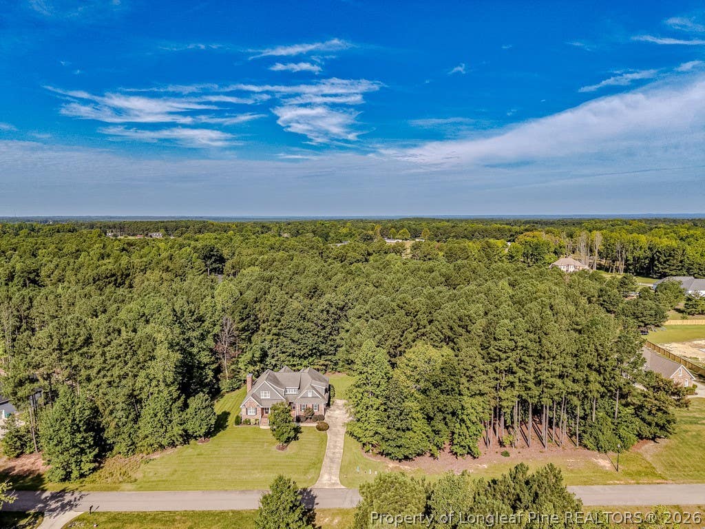 Photo of 241 Saintsbury Place, Sanford, NC 27332 (MLS # 767661)
