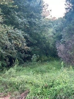 Tiny photo for Mckoy/Staten Road, Clarkton, NC 28433 (MLS # 769409)