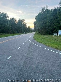 Tiny photo for Mckoy/Staten Road, Clarkton, NC 28433 (MLS # 769409)