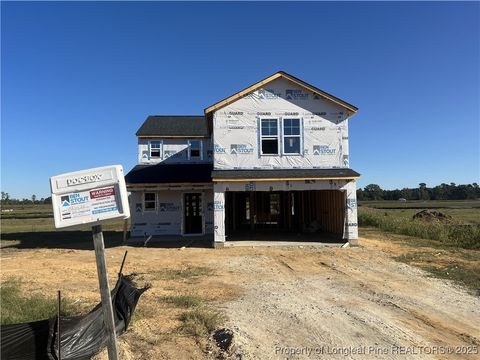 208 Buggy Top Lane Autryville NC 28318