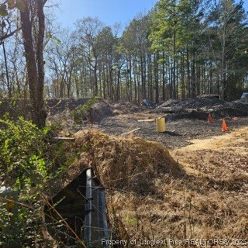 Photo of 737 N Vass Road, Raeford, NC 28376 (MLS # 742660)