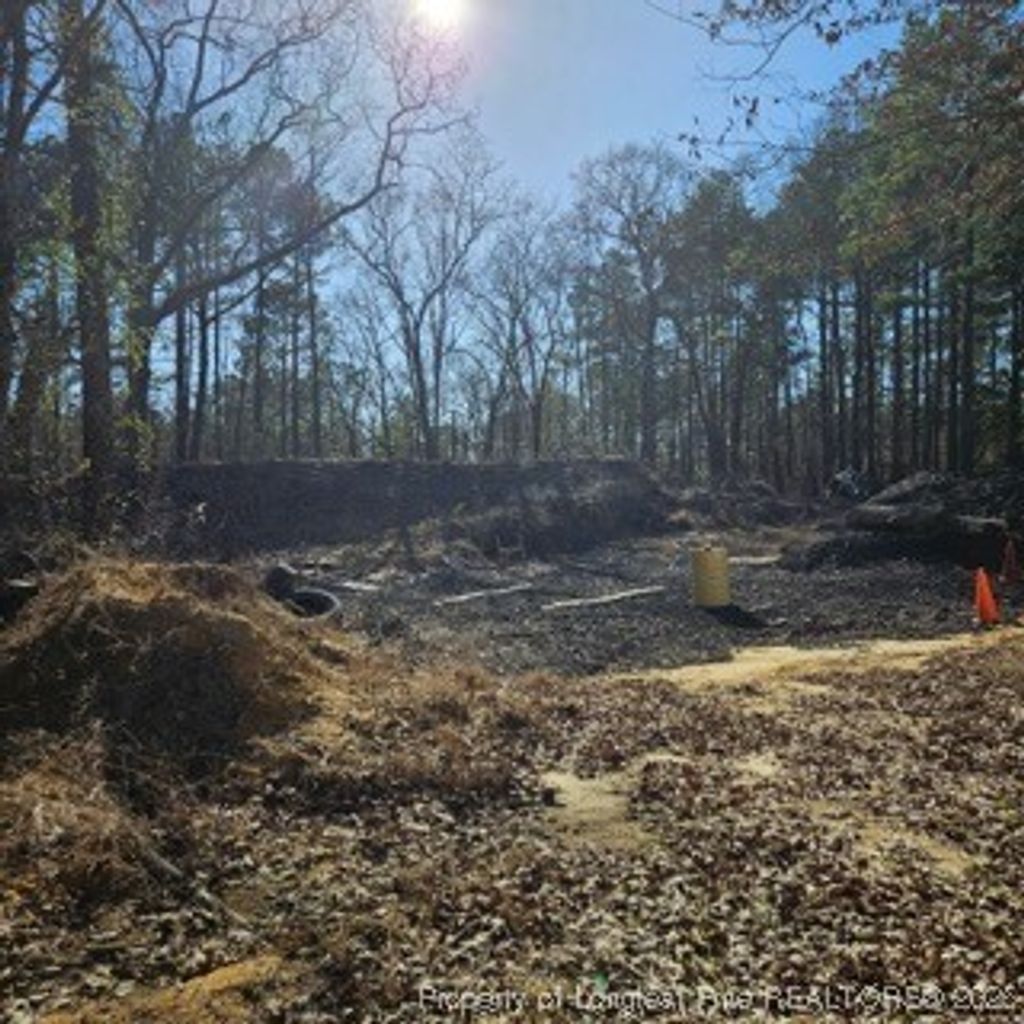 Photo of 737 N Vass Road, Raeford, NC 28376 (MLS # 742660)