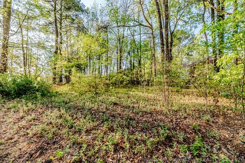 Photo of 0 Hillwood Street, Sanford, NC 27330 (MLS # 766128)